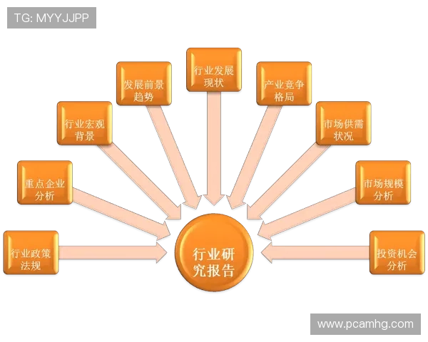 皇冠集团官网在行业中的市场份额与竞争优势深度分析