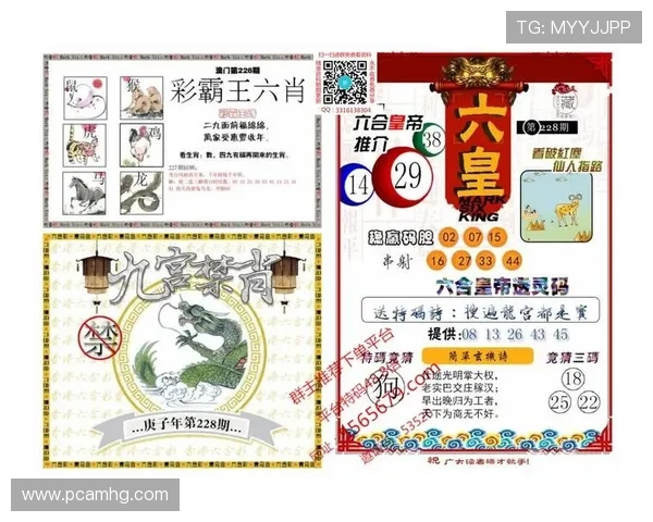 新澳门彩官网平台严格遵守法律法规，确保每一位玩家的合法权益得到保障