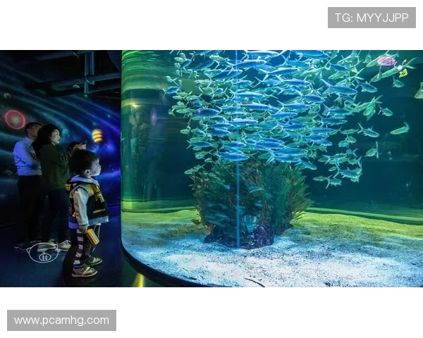 海洋之神角色养成攻略，提升你的海底王国实力的实用技巧与建议
