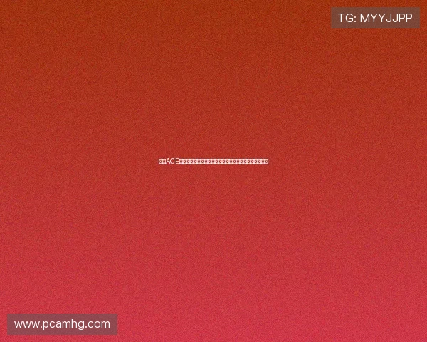 皇冠ACE带领球队闯入世界杯决赛：背后战术布局与关键比赛回顾